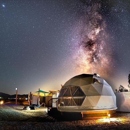 Hotel The Kosmic Tortoise Twentynine Palms Zewnętrze zdjęcie