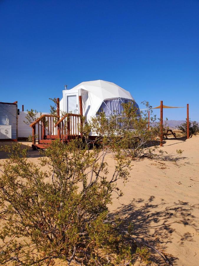 Hotel The Kosmic Tortoise Twentynine Palms Zewnętrze zdjęcie