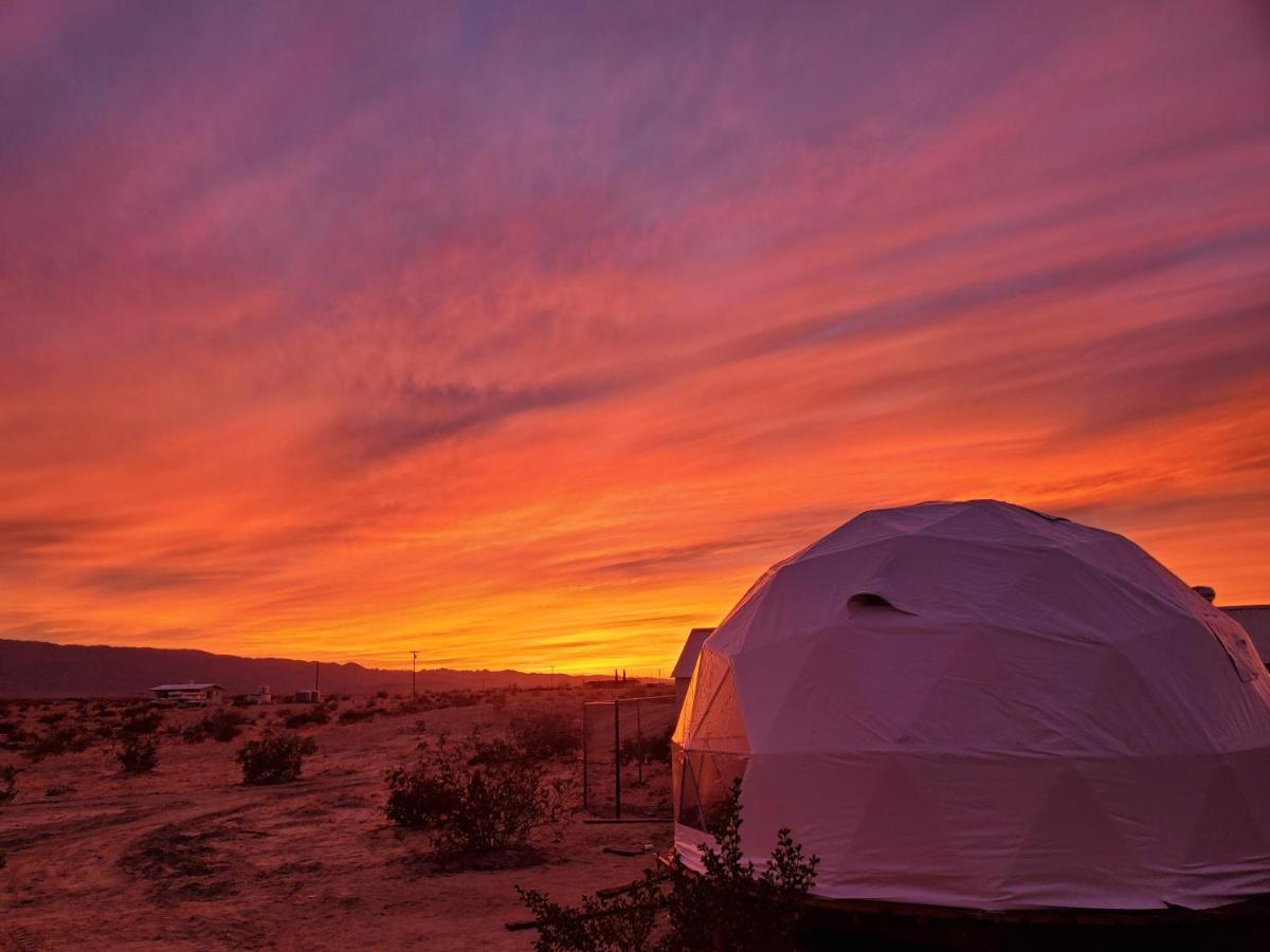 Hotel The Kosmic Tortoise Twentynine Palms Zewnętrze zdjęcie