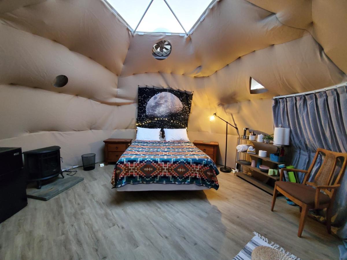 Hotel The Kosmic Tortoise Twentynine Palms Zewnętrze zdjęcie